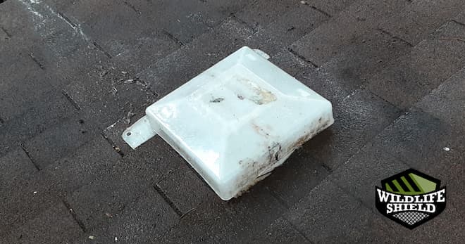 clean roof vent